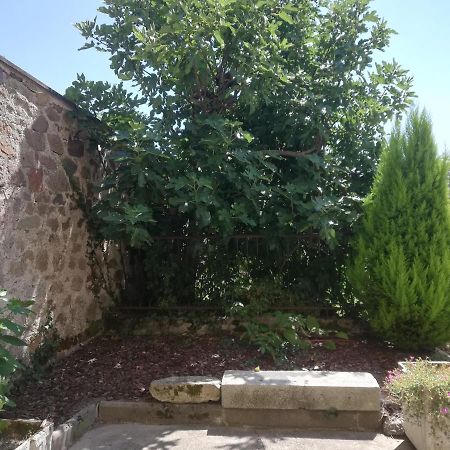 Appartamento Meublés de tourisme LE TRIANON et LE PETIT TRIANON Saint-Junien Esterno foto